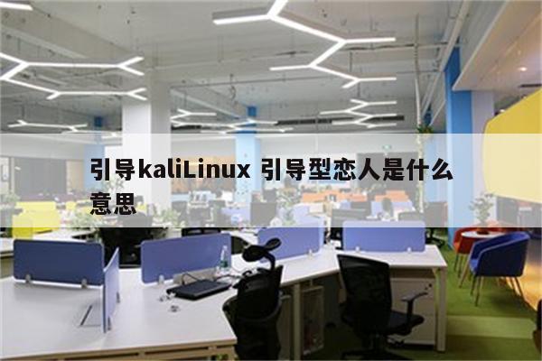 引导kaliLinux 引导型恋人是什么意思