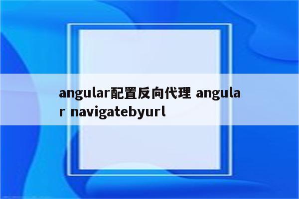 angular配置反向代理 angular navigatebyurl