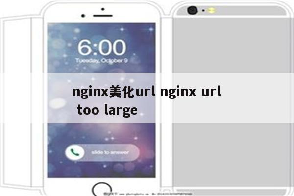 nginx美化url nginx url too large