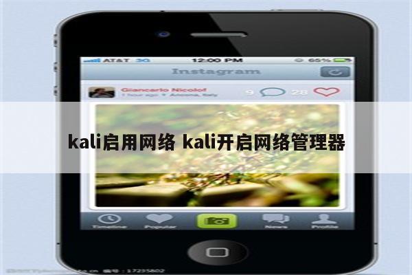 kali启用网络 kali开启网络管理器