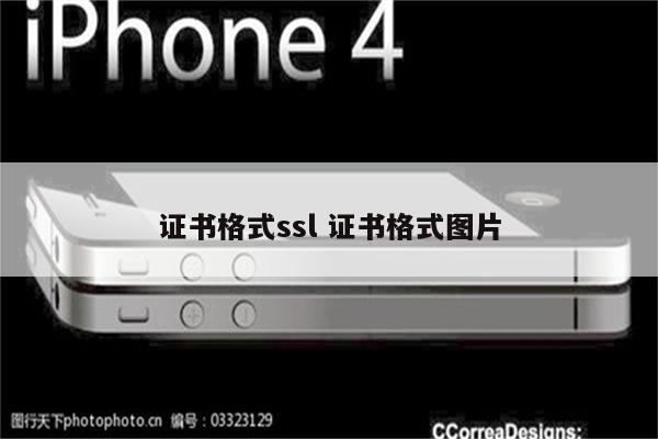 证书格式ssl 证书格式图片