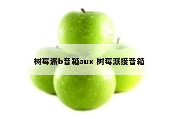 树莓派b音箱aux 树莓派接音箱