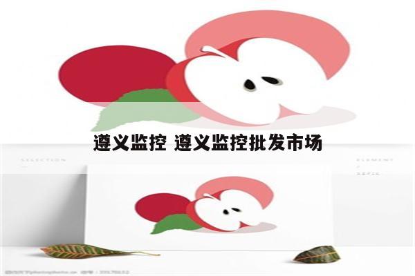 遵义监控 遵义监控批发市场