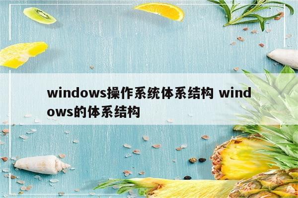 windows操作系统体系结构 windows的体系结构