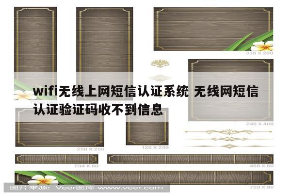 wifi无线上网短信认证系统 无线网短信认证验证码收不到信息