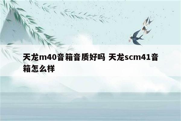 天龙m40音箱音质好吗 天龙scm41音箱怎么样