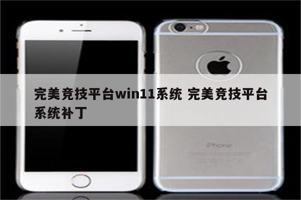 完美竞技平台win11系统 完美竞技平台系统补丁