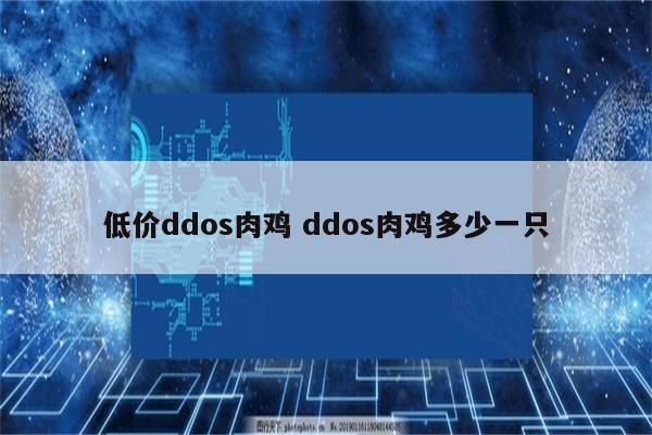 低价ddos肉鸡 ddos肉鸡多少一只