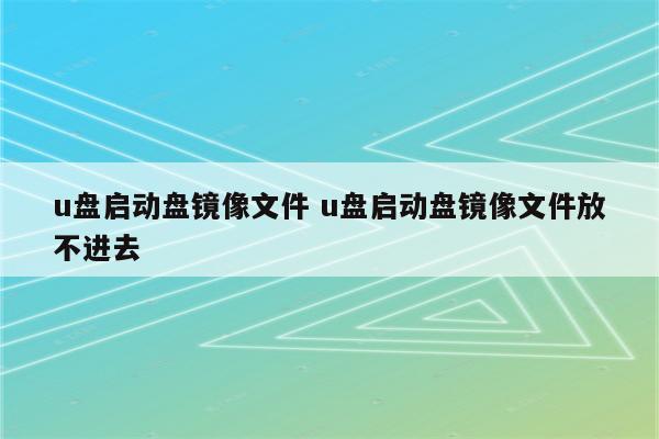 u盘启动盘镜像文件 u盘启动盘镜像文件放不进去
