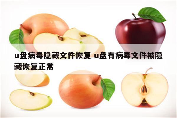 u盘病毒隐藏文件恢复 u盘有病毒文件被隐藏恢复正常