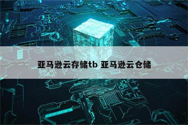 亚马逊云存储tb 亚马逊云仓储