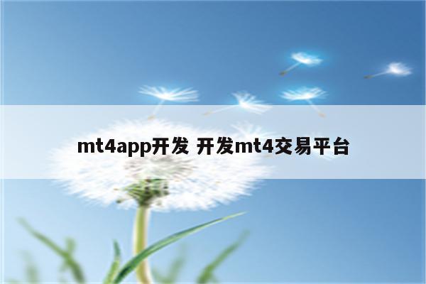 mt4app开发 开发mt4交易平台