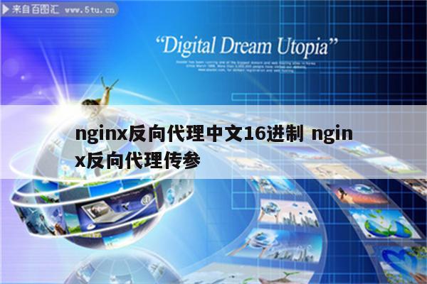 nginx反向代理中文16进制 nginx反向代理传参