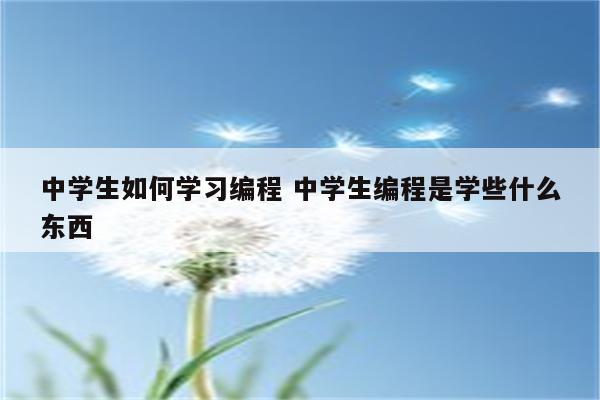 中学生如何学习编程 中学生编程是学些什么东西