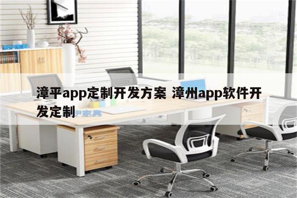 漳平app定制开发方案 漳州app软件开发定制