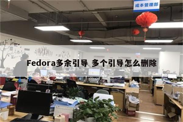 Fedora多余引导 多个引导怎么删除