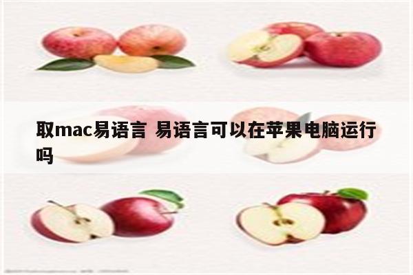 取mac易语言 易语言可以在苹果电脑运行吗