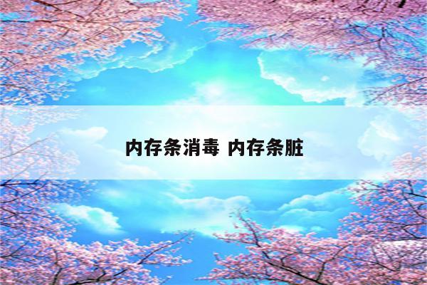 内存条消毒 内存条脏