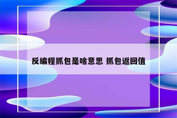 反编程抓包是啥意思 抓包返回值