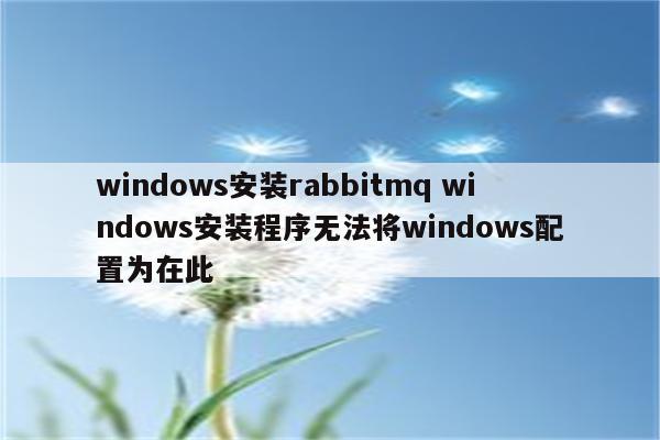 windows安装rabbitmq windows安装程序无法将windows配置为在此