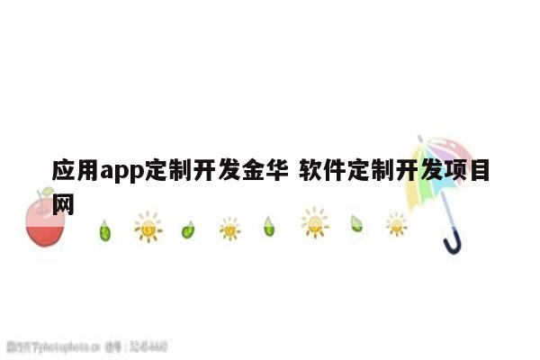 应用app定制开发金华 软件定制开发项目网