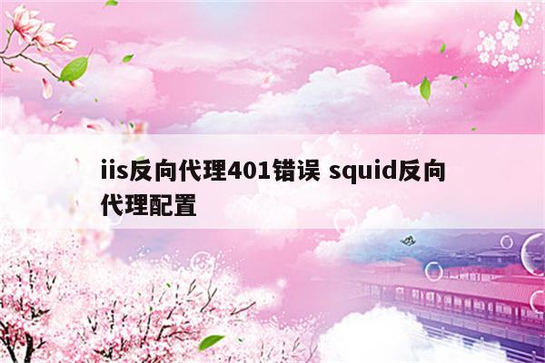 iis反向代理401错误 squid反向代理配置