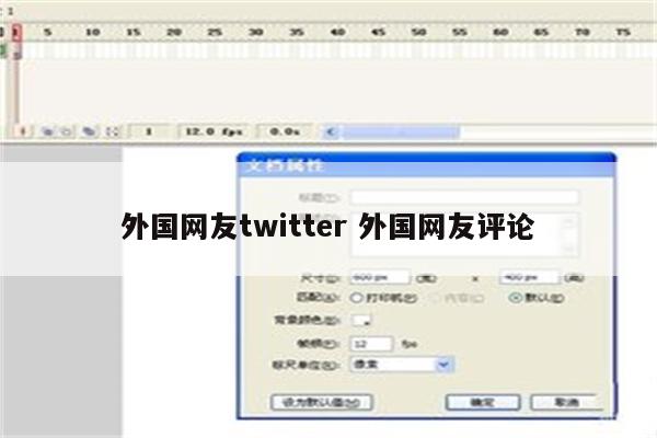 外国网友twitter 外国网友评论