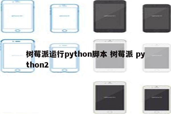 树莓派运行python脚本 树莓派 python2