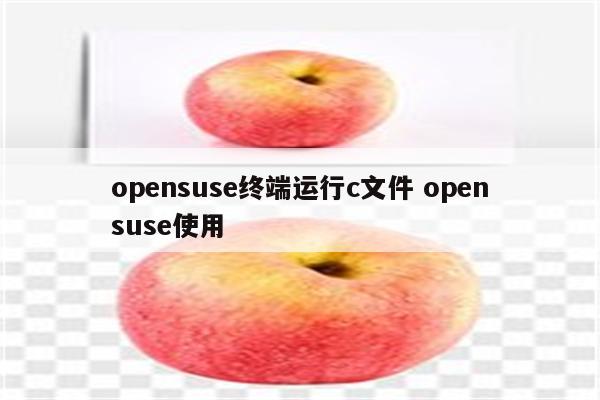 opensuse终端运行c文件 opensuse使用