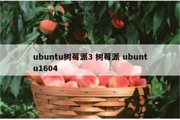 ubuntu树莓派3 树莓派 ubuntu1604
