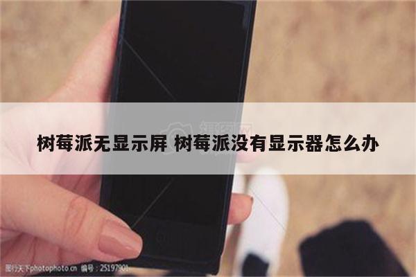 树莓派无显示屏 树莓派没有显示器怎么办