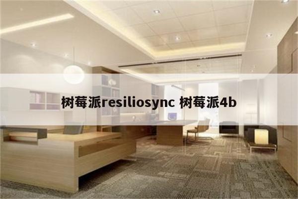 树莓派resiliosync 树莓派4b