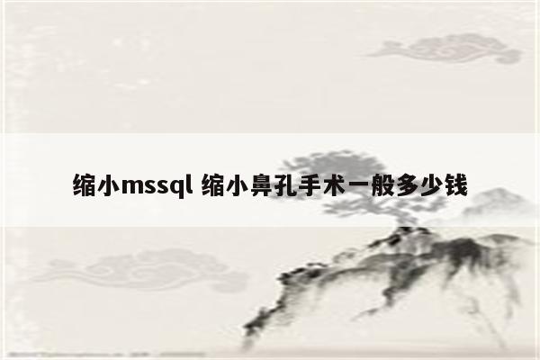 缩小mssql 缩小鼻孔手术一般多少钱