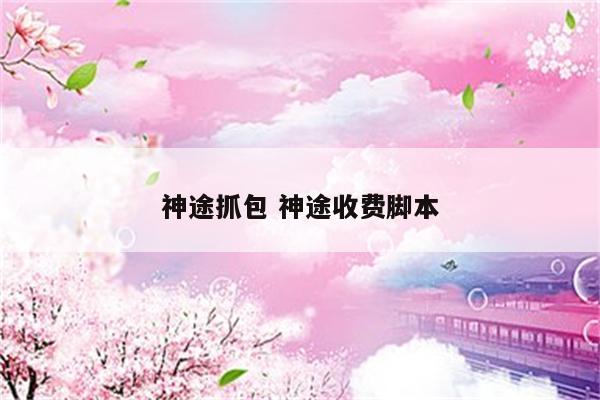 神途抓包 神途收费脚本