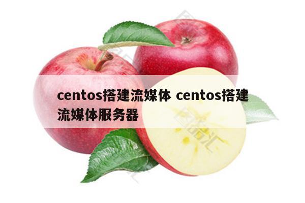 centos搭建流媒体 centos搭建流媒体服务器