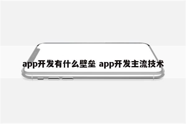 app开发有什么壁垒 app开发主流技术