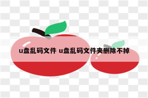 u盘乱码文件 u盘乱码文件夹删除不掉