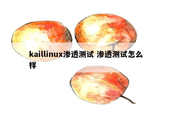 kaillinux渗透测试 渗透测试怎么样