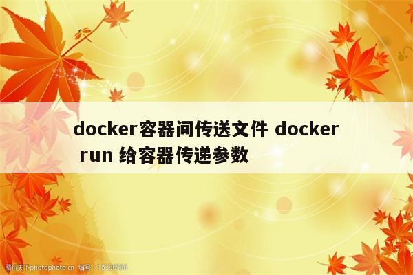 docker容器间传送文件 docker run 给容器传递参数