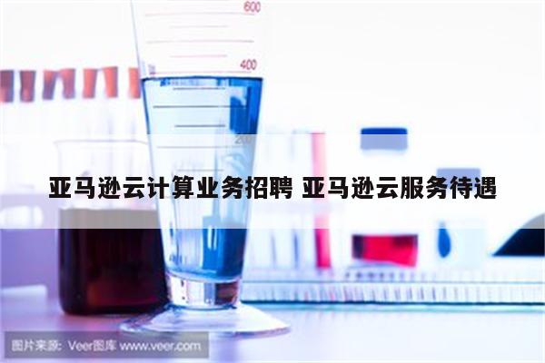 亚马逊云计算业务招聘 亚马逊云服务待遇