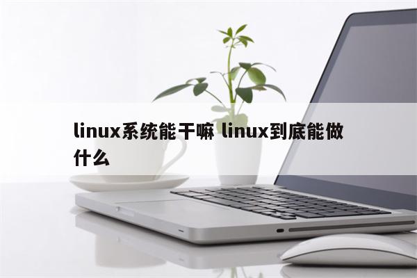 linux系统能干嘛 linux到底能做什么