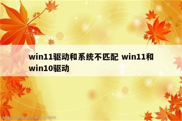 win11驱动和系统不匹配 win11和win10驱动