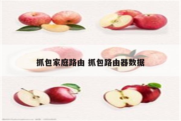 抓包家庭路由 抓包路由器数据