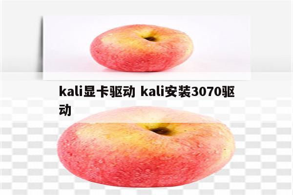 kali显卡驱动 kali安装3070驱动