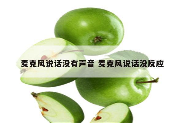 麦克风说话没有声音 麦克风说话没反应