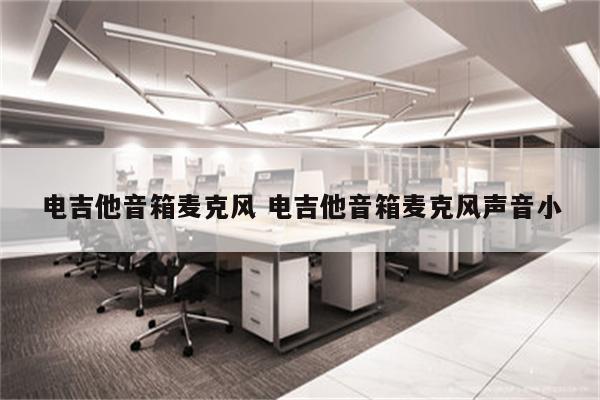 电吉他音箱麦克风 电吉他音箱麦克风声音小