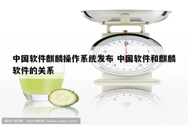 中国软件麒麟操作系统发布 中国软件和麒麟软件的关系
