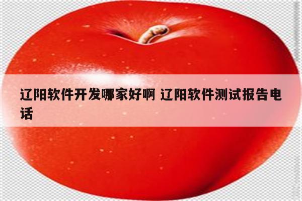 辽阳软件开发哪家好啊 辽阳软件测试报告电话