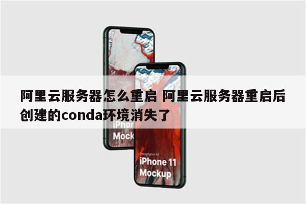 阿里云服务器怎么重启 阿里云服务器重启后创建的conda环境消失了