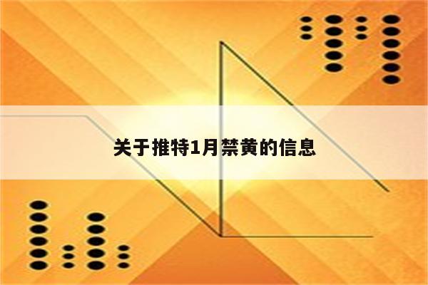 关于推特1月禁黄的信息